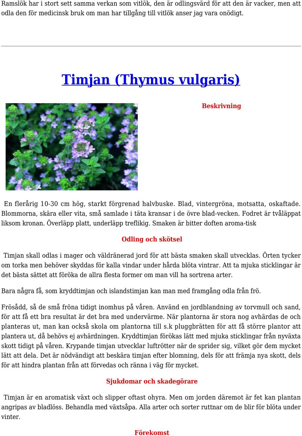 Blommorna, skära eller vita, små samlade i täta kransar i de övre blad-vecken. Fodret är tvåläppat liksom kronan. Överläpp platt, underläpp treflikig.