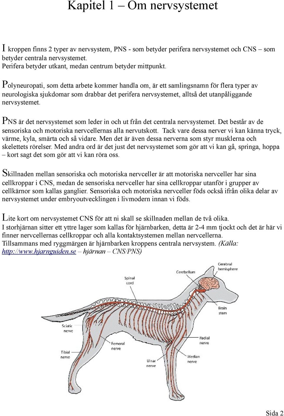 Polyneuropati, som detta arbete kommer handla om, är ett samlingsnamn för flera typer av neurologiska sjukdomar som drabbar det perifera nervsystemet, alltså det utanpåliggande nervsystemet.