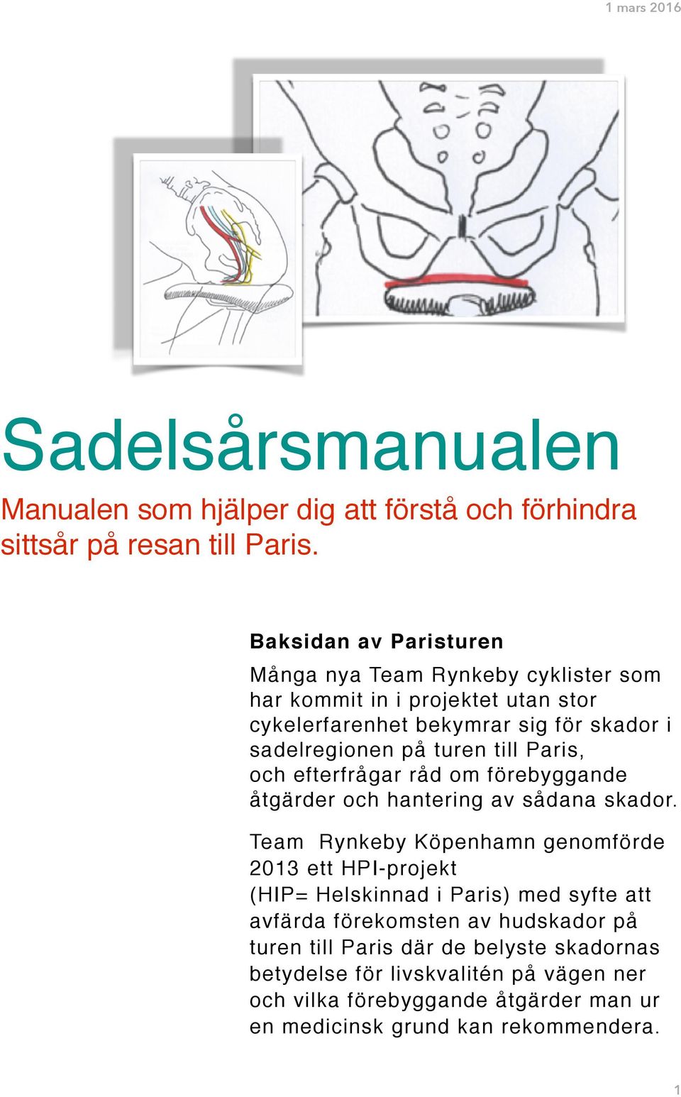 till Paris, och efterfrågar råd om förebyggande åtgärder och hantering av sådana skador.