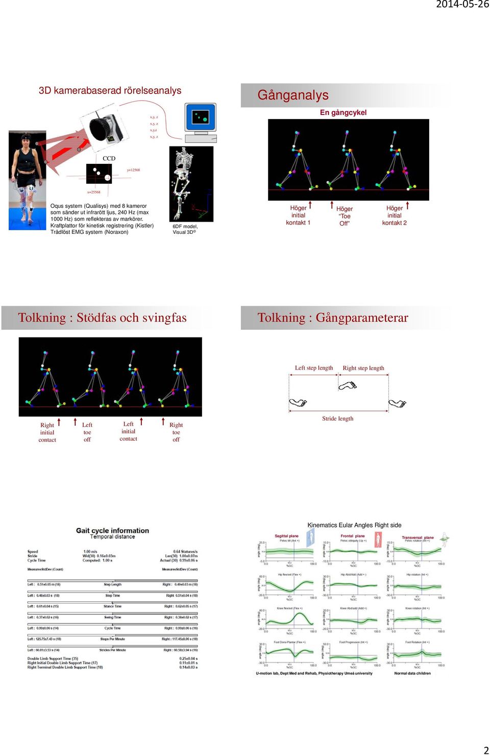 Kraftplattor för kinetisk registrering (Kistler) Trådlöst EMG system (Noraxon) 6DF model, Visual 3D Höger kontakt 1 Höger Toe Off Höger kontakt 2 Tolkning : Stödfas och