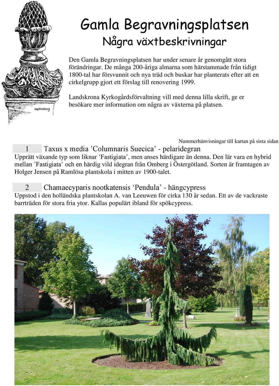 Landskrona Kyrkogårdsförvaltning vill med denna lilla skrift, ge er besökare mer information om några av växterna på platsen.