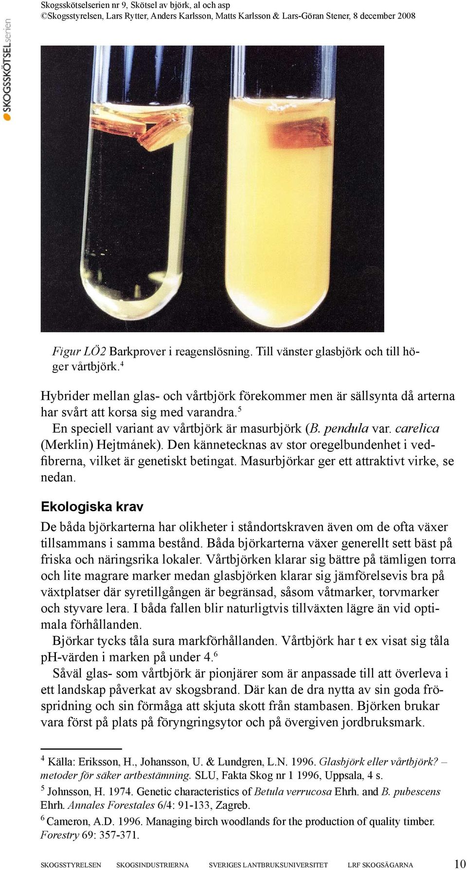 carelica (Merklin) Hejtmánek). Den kännetecknas av stor oregelbundenhet i vedfibrerna, vilket är genetiskt betingat. Masurbjörkar ger ett attraktivt virke, se nedan.