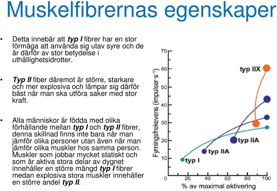 Alla människor är födda med olika förhållande mellan typ I och typ II fibrer, denna skillnad finns inte bara när man jämför olika personer utan även när man jämför