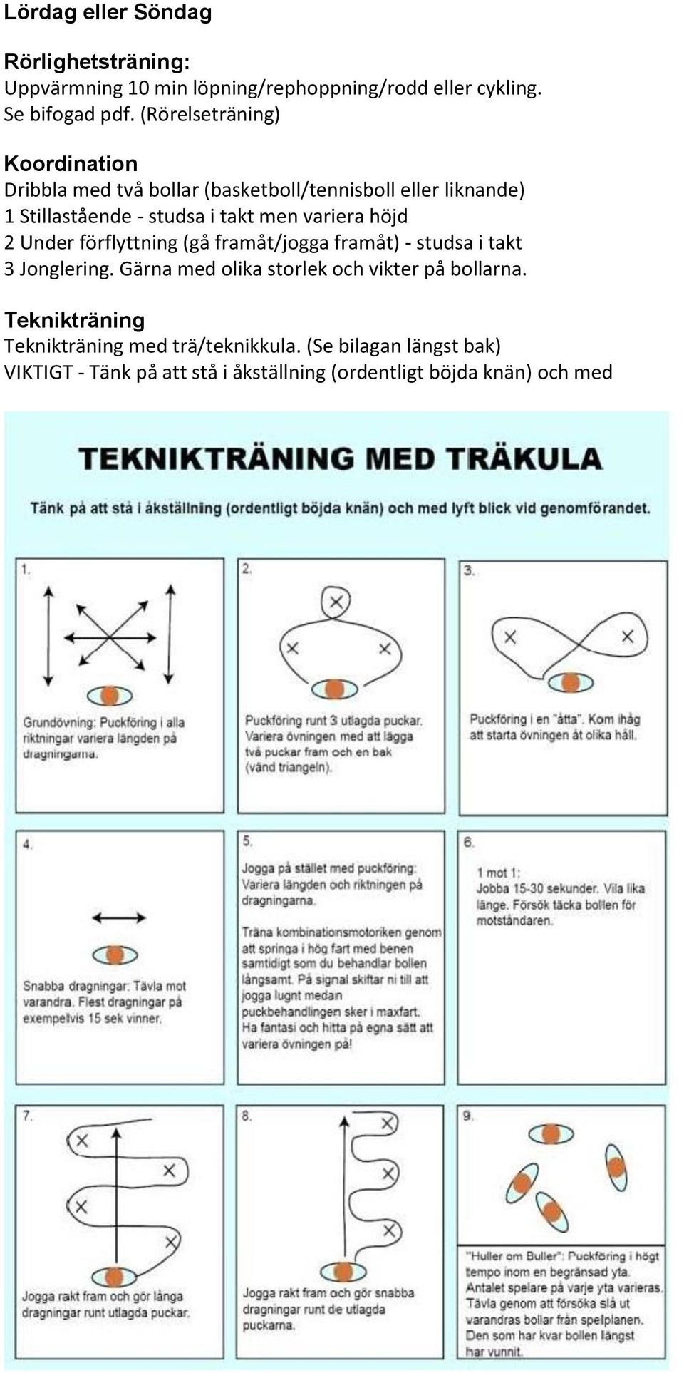 variera höjd 2 Under förflyttning (gå framåt/jogga framåt) - studsa i takt 3 Jonglering.