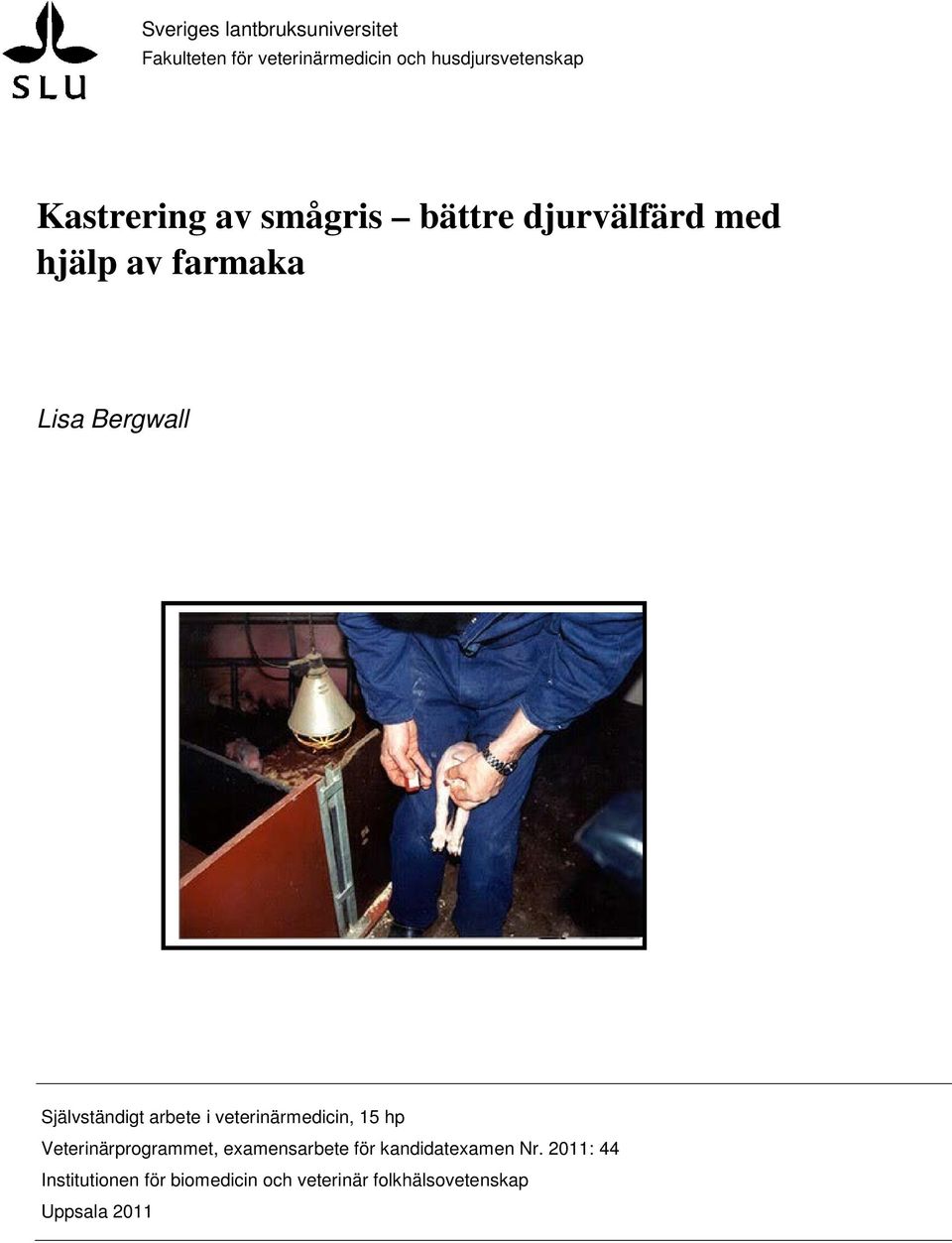 Självständigt arbete i veterinärmedicin, 15 hp Veterinärprogrammet, examensarbete för