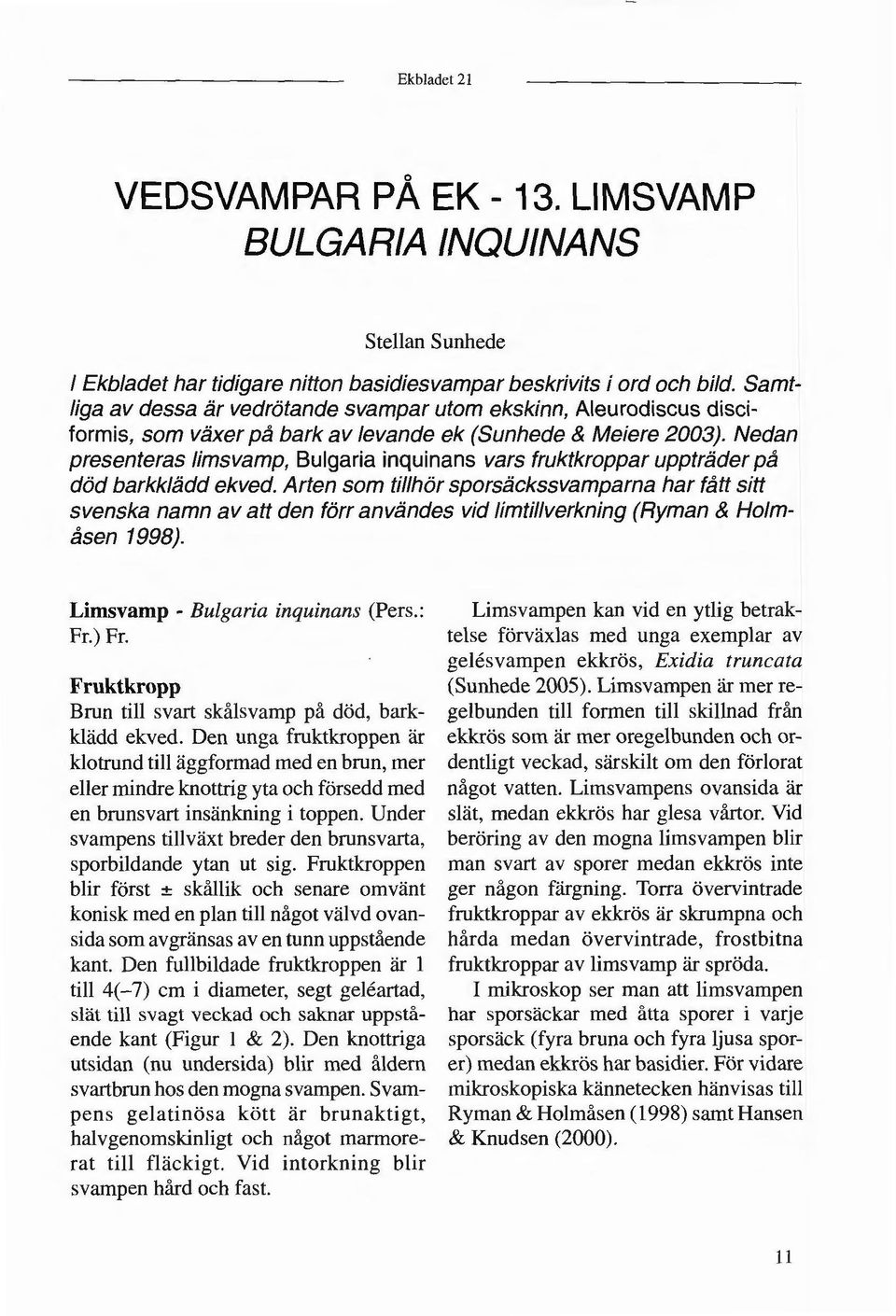 Nedan presenteras limsvamp, Bulgaria inquinans vars fruktkroppar uppträder på död barkklädd ekved.