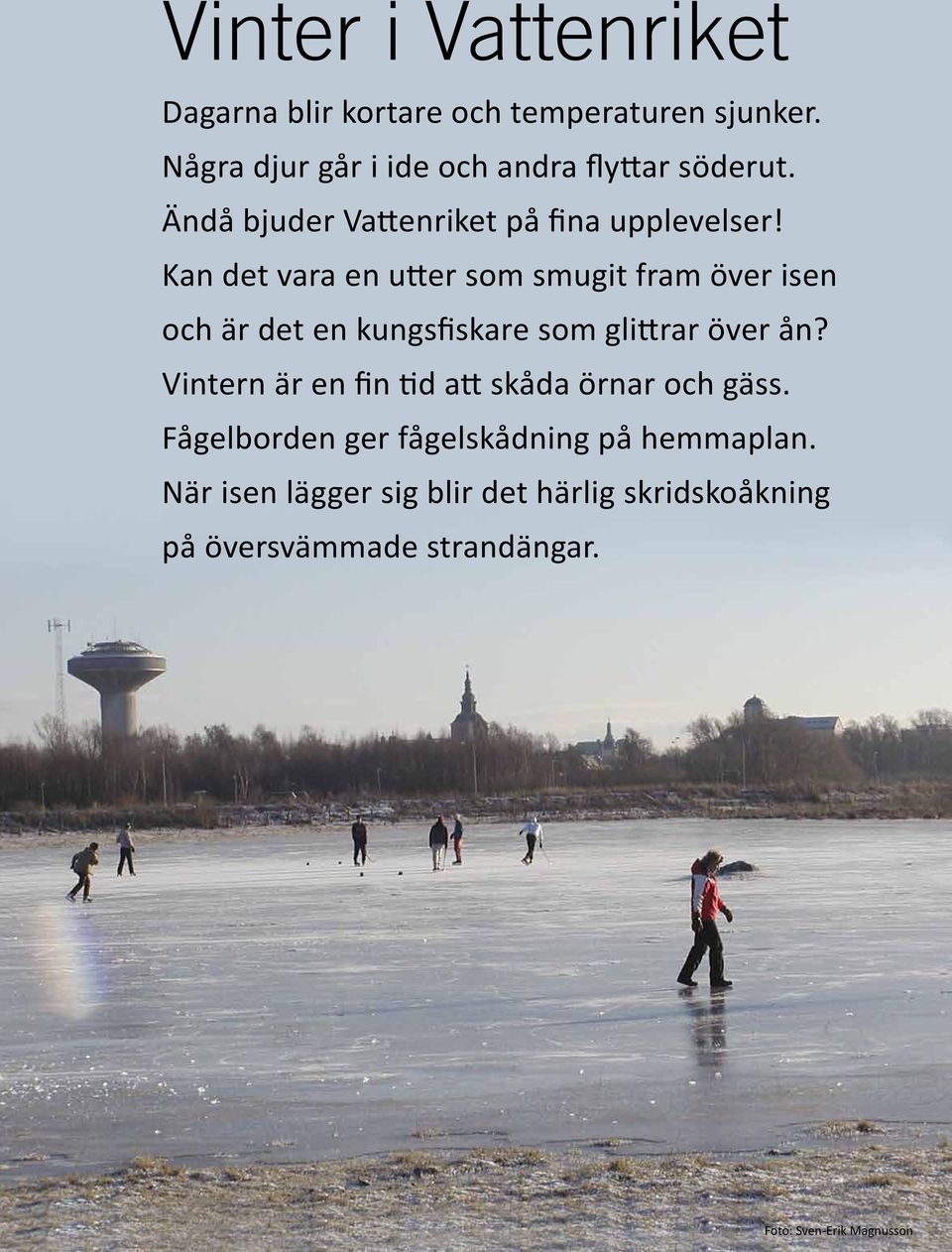 Kan det vara en utter som smugit fram över isen och är det en kungsfiskare som glittrar över ån?