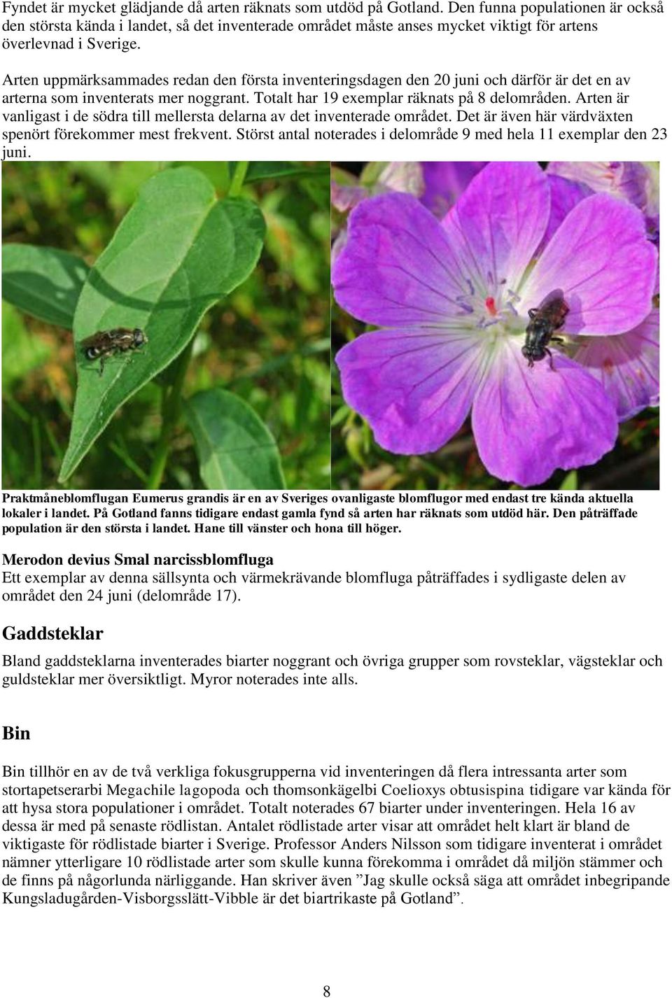 Arten uppmärksammades redan den första inventeringsdagen den 20 juni och därför är det en av arterna som inventerats mer noggrant. Totalt har 19 exemplar räknats på 8 delområden.