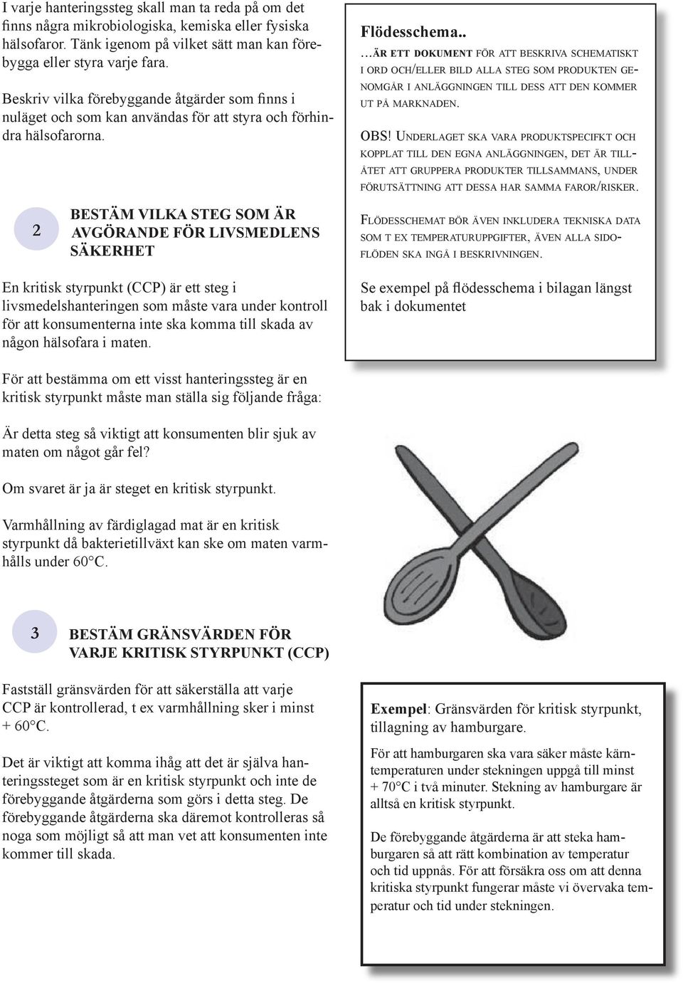 ....är ett dokument för att beskriva schematiskt i ord och/eller bild alla steg som produkten genomgår i anläggningen till dess att den kommer ut på marknaden. OBS!