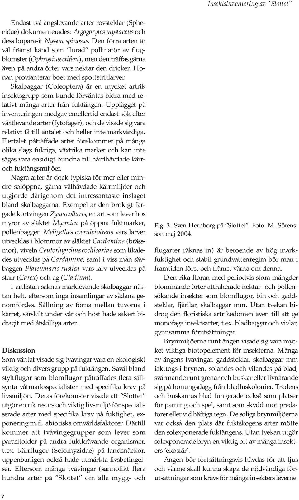 Honan provianterar boet med spottstritlarver. Skalbaggar (Coleoptera) är en mycket artrik insektsgrupp som kunde förväntas bidra med relativt många arter från fuktängen.