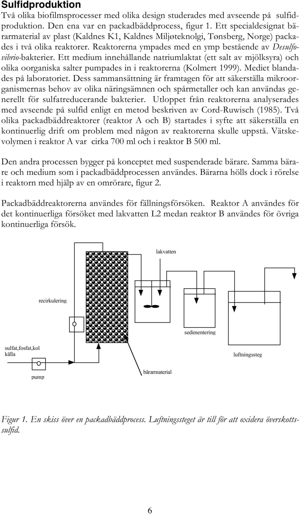 Ett medium innehållande natriumlaktat (ett salt av mjölksyra) och olika oorganiska salter pumpades in i reaktorerna (Kolmert 1999). Mediet blandades på laboratoriet.
