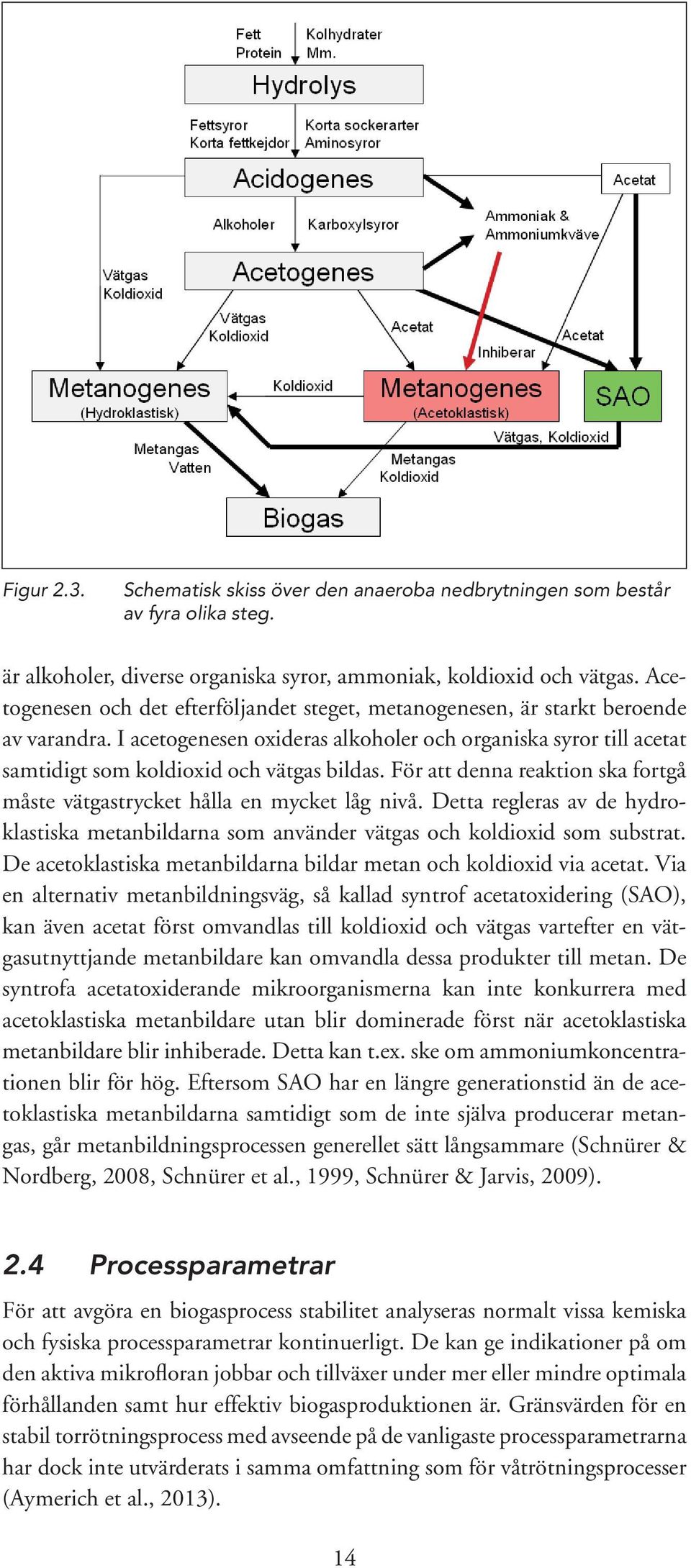 För att denna reaktion ska fortgå måste vätgastrycket hålla en mycket låg nivå. Detta regleras av de hydroklastiska metanbildarna som använder vätgas och koldioxid som substrat.