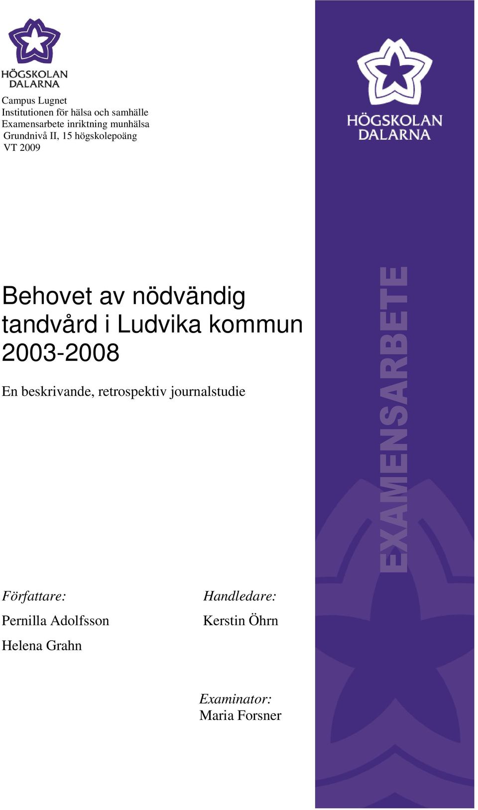 Ludvika kommun under åren 2003-2008 En beskrivande, retrospektiv journalstudie