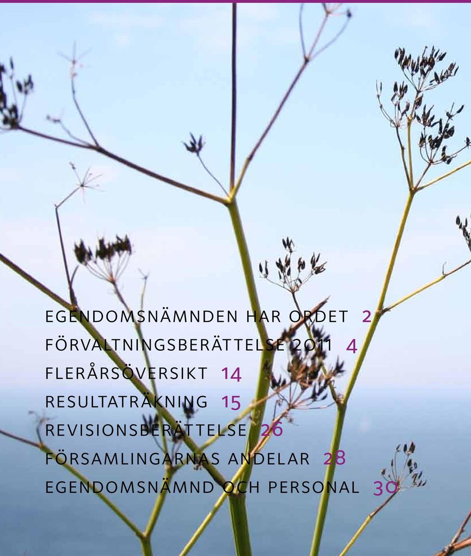 flerårsöversikt 14 resultaträkning 15