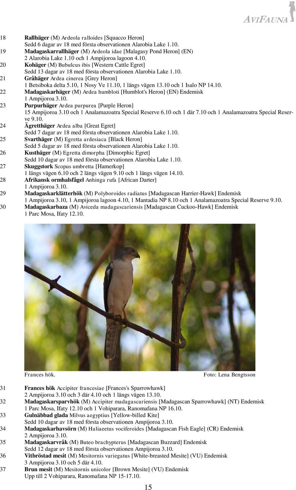 10, 1 Nosy Ve 11.10, 1 längs vägen 13.10 och 1 Isalo NP 14.10. 22 Madagaskarhäger (M) Ardea humbloti [Humblot's Heron] (EN) Endemisk 1 Ampijoroa 3.10. 23 Purpurhäger Ardea purpurea [Purple Heron] 15 Ampijoroa 3.