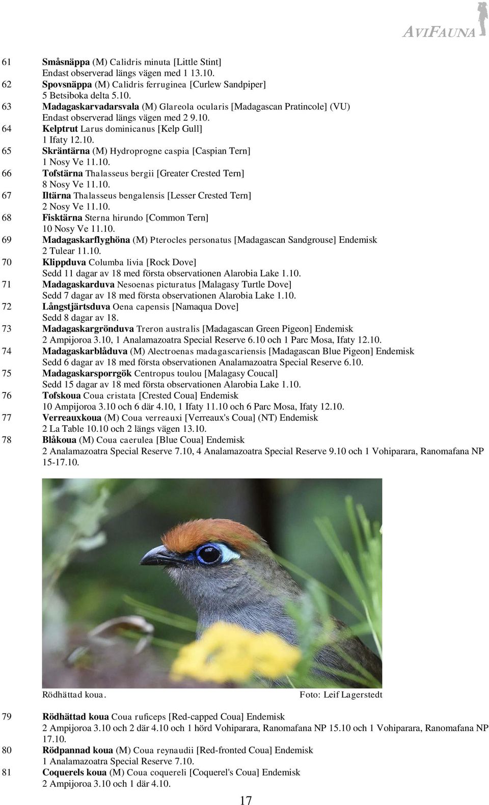 10. 65 Skräntärna (M) Hydroprogne caspia [Caspian Tern] 1 Nosy Ve 11.10. 66 Tofstärna Thalasseus bergii [Greater Crested Tern] 8 Nosy Ve 11.10. 67 Iltärna Thalasseus bengalensis [Lesser Crested Tern] 2 Nosy Ve 11.