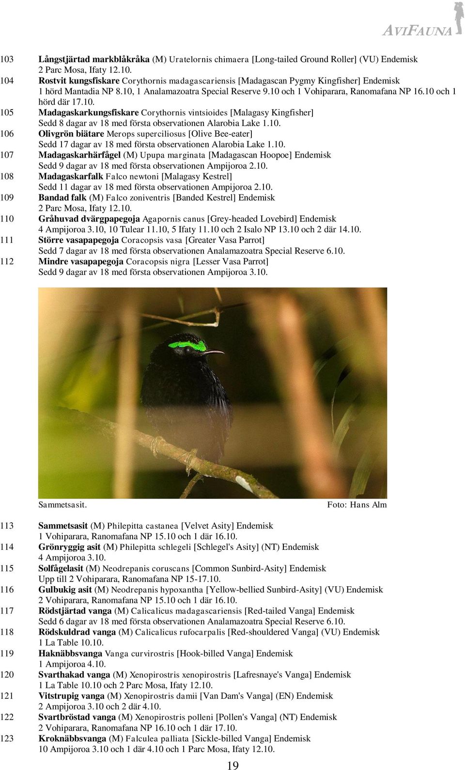 10. 106 Olivgrön biätare Merops superciliosus [Olive Bee-eater] Sedd 17 dagar av 18 med första observationen Alarobia Lake 1.10. 107 Madagaskarhärfågel (M) Upupa marginata [Madagascan Hoopoe] Endemisk Sedd 9 dagar av 18 med första observationen Ampijoroa 2.
