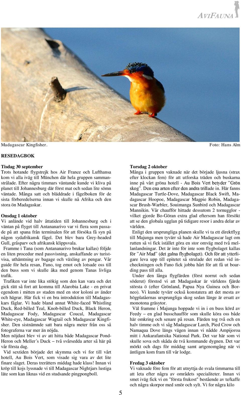 Många satt och bläddrade i fågelboken för de sista förberedelserna innan vi skulle nå Afrika och den stora ön Madagaskar.