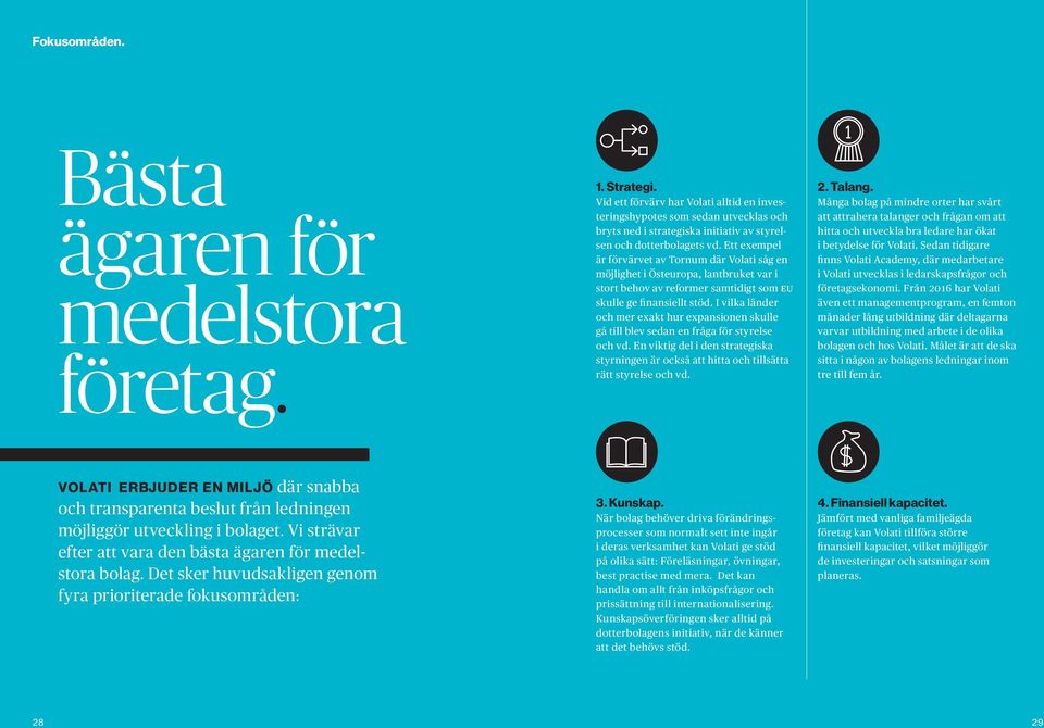 Ett exempel är förvärvet av Tornum där Volati såg en möjlighet i Östeuropa, lantbruket var i stort behov av reformer samtidigt som EU skulle ge finansiellt stöd.