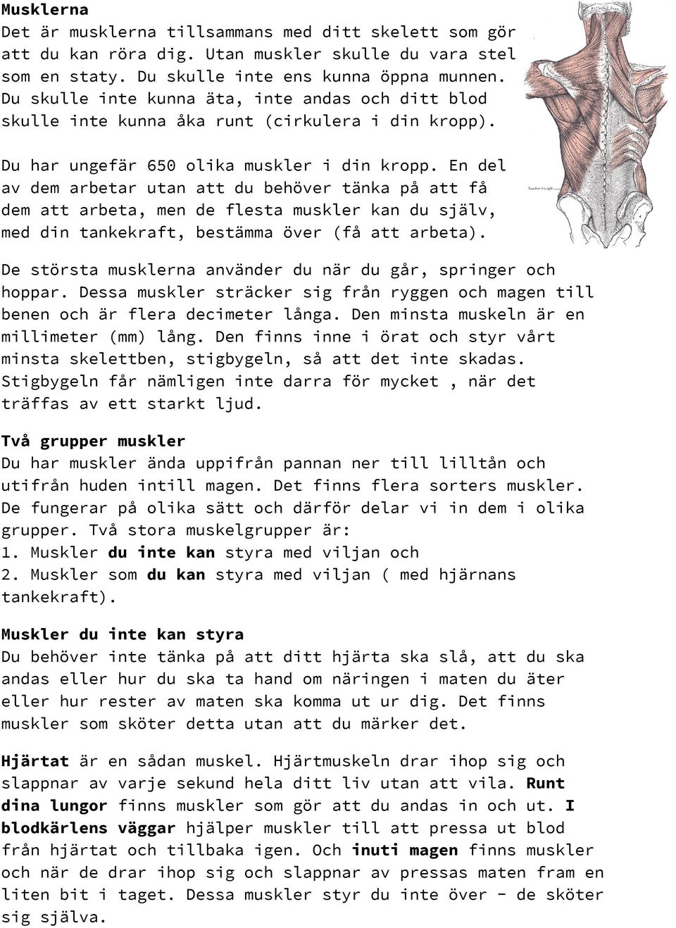 En del av dem arbetar utan att du behöver tänka på att få dem att arbeta, men de flesta muskler kan du själv, med din tankekraft, bestämma över (få att arbeta).