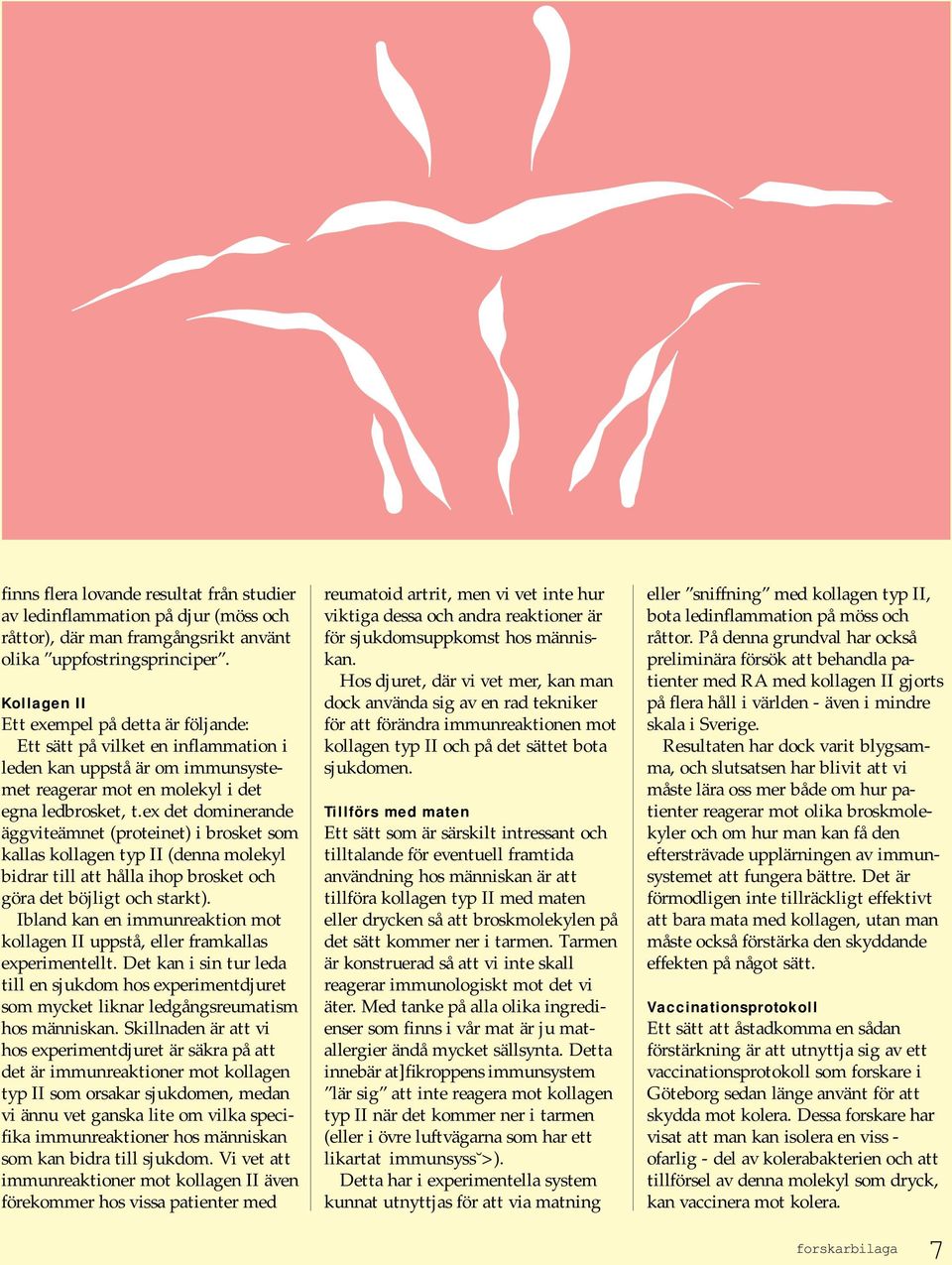 ex det dominerande äggviteämnet (proteinet) i brosket som kallas kollagen typ II (denna molekyl bidrar till att hålla ihop brosket och göra det böjligt och starkt).