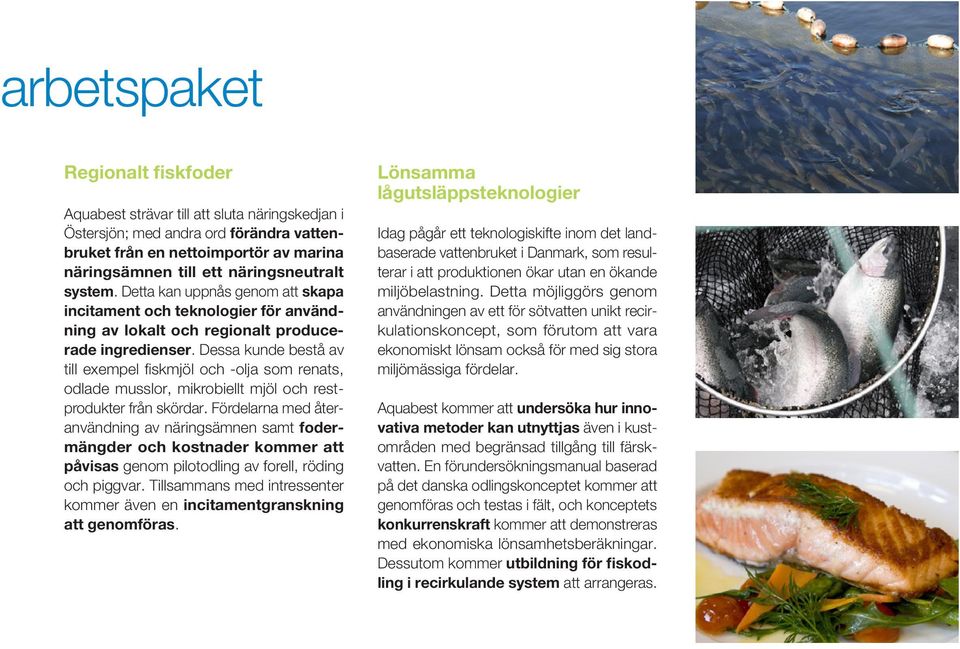 Dessa kunde bestå av till exempel fiskmjöl och -olja som renats, odlade musslor, mikrobiellt mjöl och restprodukter från skördar.