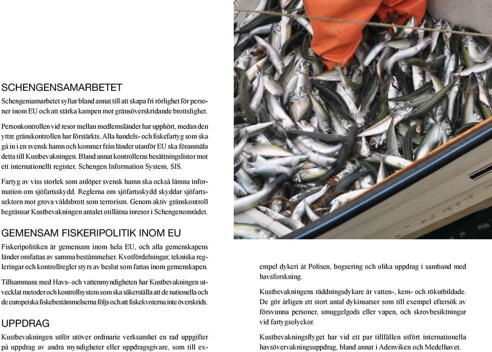 Alla handels- och fiskefartyg som ska gå in i en svensk hamn och kommer från länder utanför EU ska föranmäla detta till Kustbevakningen.