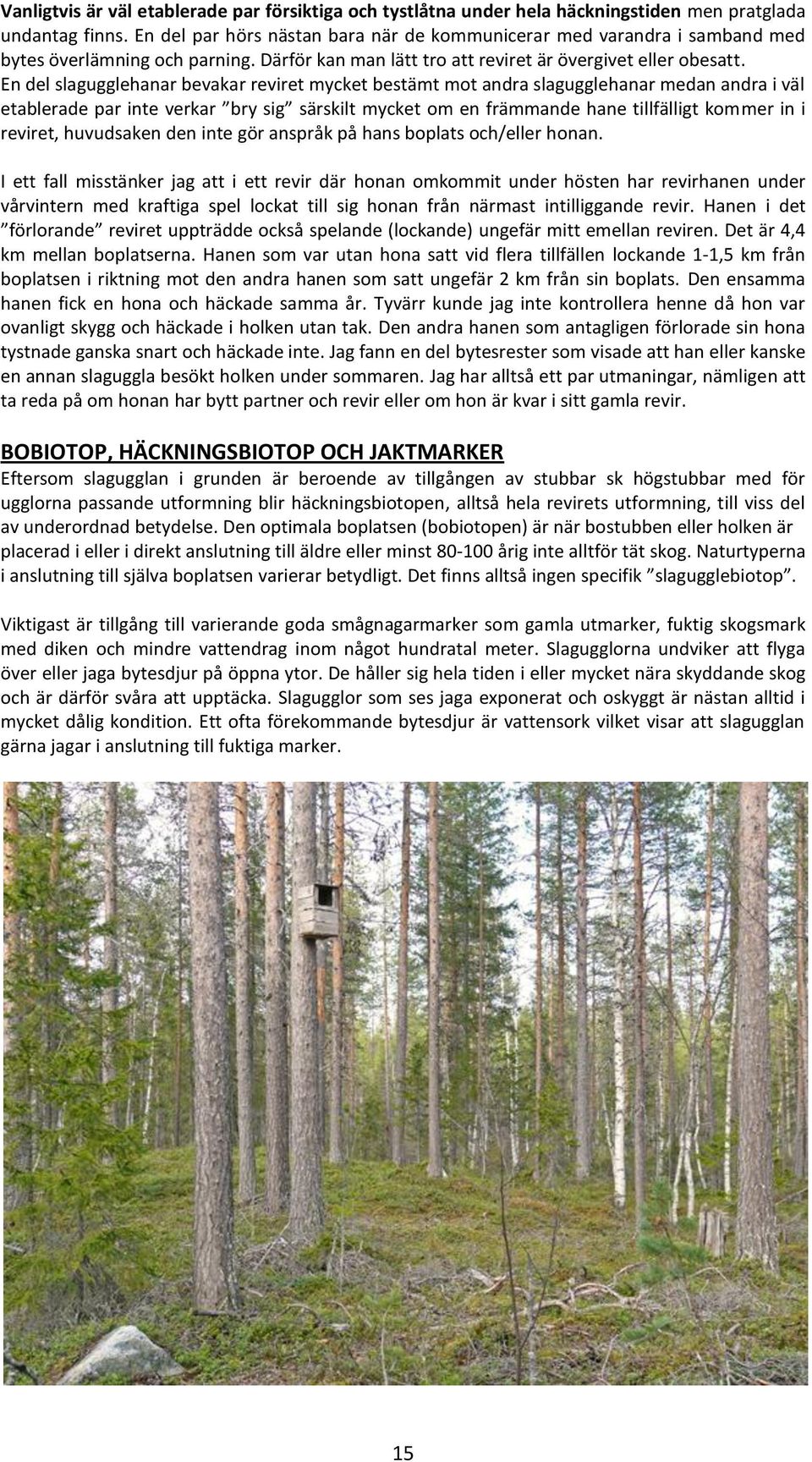 En del slagugglehanar bevakar reviret mycket bestämt mot andra slagugglehanar medan andra i väl etablerade par inte verkar bry sig särskilt mycket om en främmande hane tillfälligt kommer in i