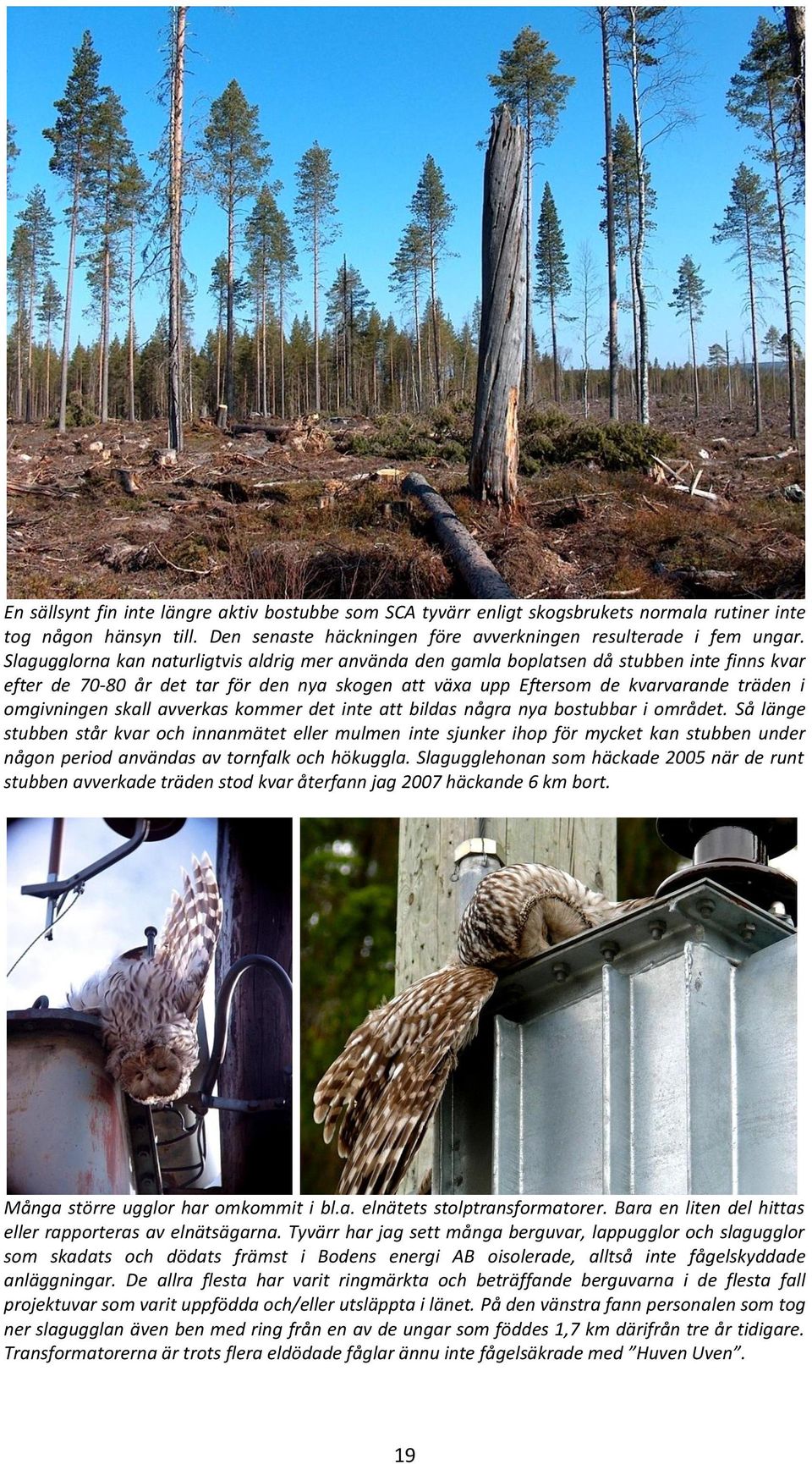 skall avverkas kommer det inte att bildas några nya bostubbar i området.