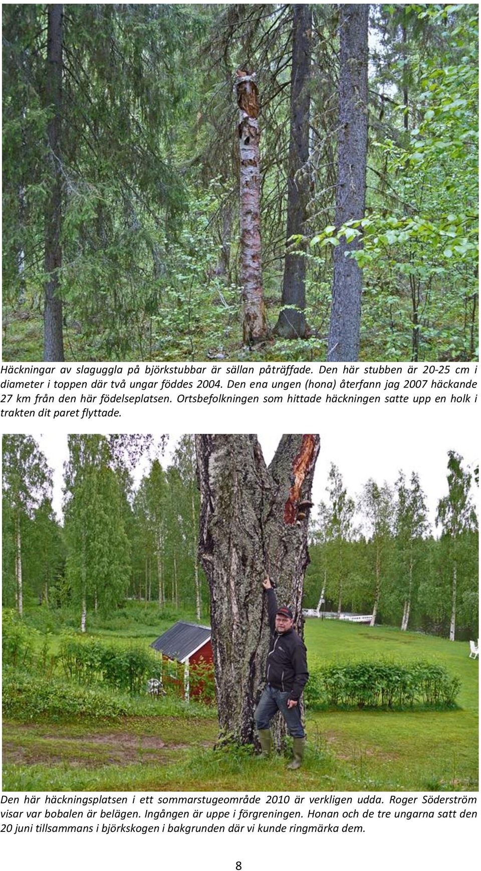 Ortsbefolkningen som hittade häckningen satte upp en holk i trakten dit paret flyttade.