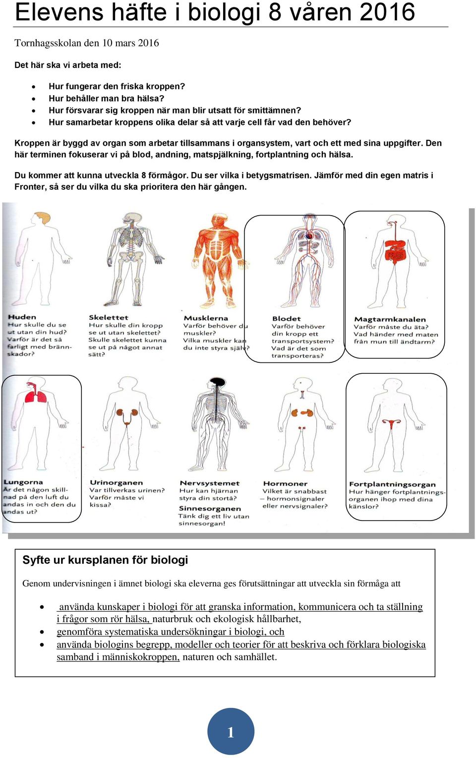 Kroppen är byggd av organ som arbetar tillsammans i organsystem, vart och ett med sina uppgifter. Den här terminen fokuserar vi på blod, andning, matspjälkning, fortplantning och hälsa.