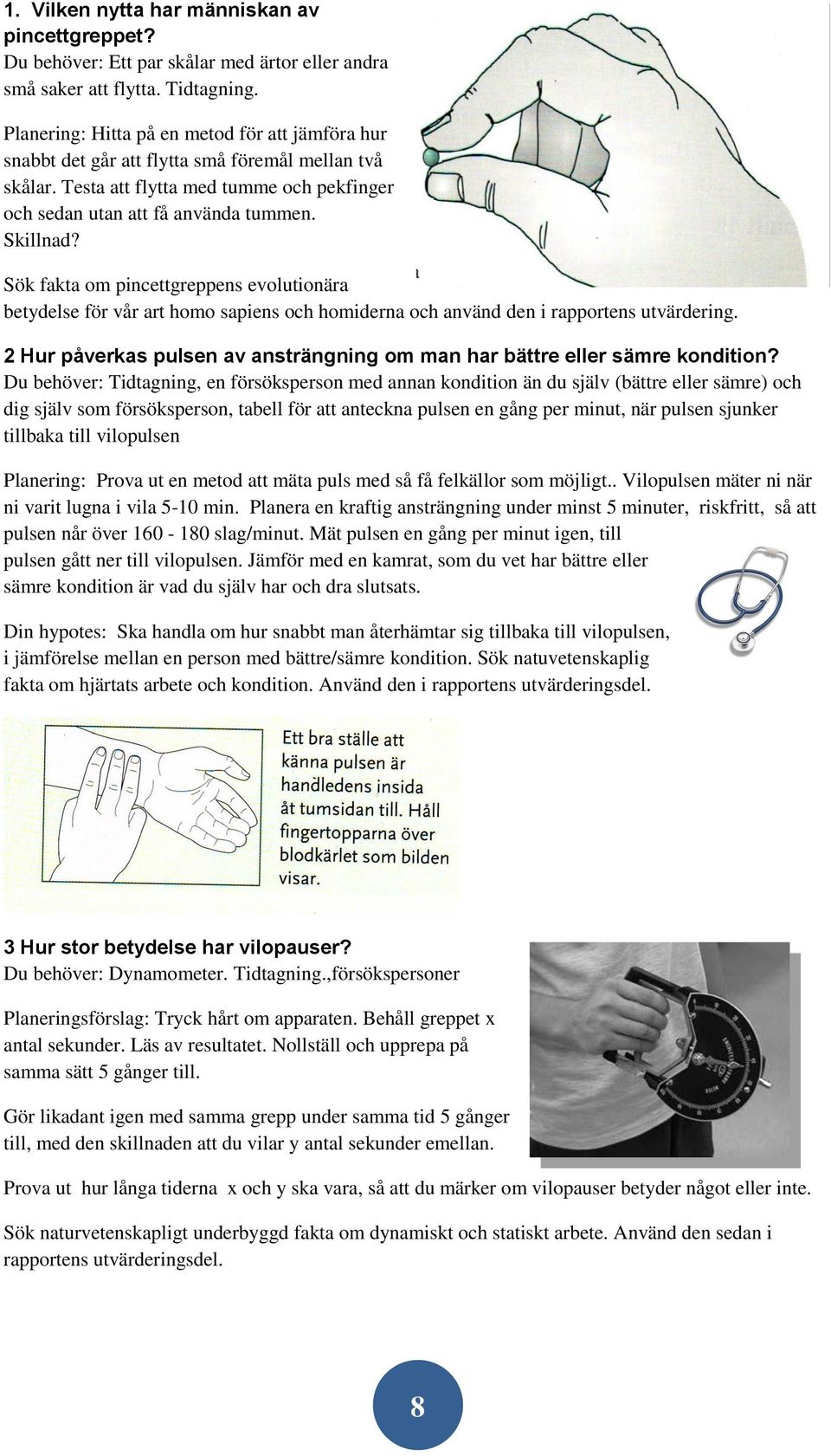 Sök fakta om pincettgreppens evolutionära betydelse för vår art homo sapiens och homiderna och använd den i rapportens utvärdering.