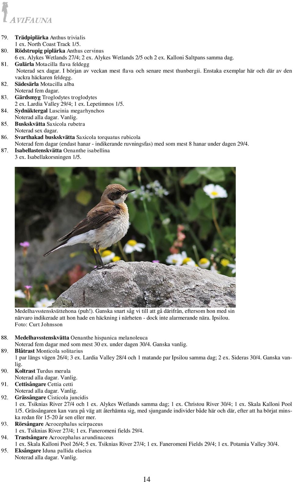 Sädesärla Motacilla alba Noterad fem dagar. 83. Gärdsmyg Troglodytes troglodytes 2 ex. Lardia Valley 29/4; 1 ex. Lepetimnos 1/5. 84. Sydnäktergal Luscinia megarhynchos Noterad alla dagar. Vanlig. 85.