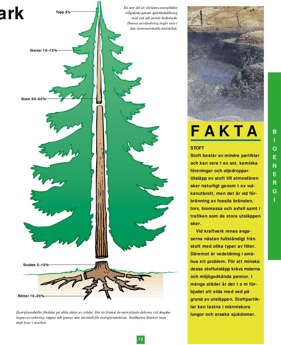 Det är främst de outnyttjade delarna vid skogsbolagens avverkning, toppar och grenar som används för energiproduktion. Stubbarna lämnar man dock kvar i marken.