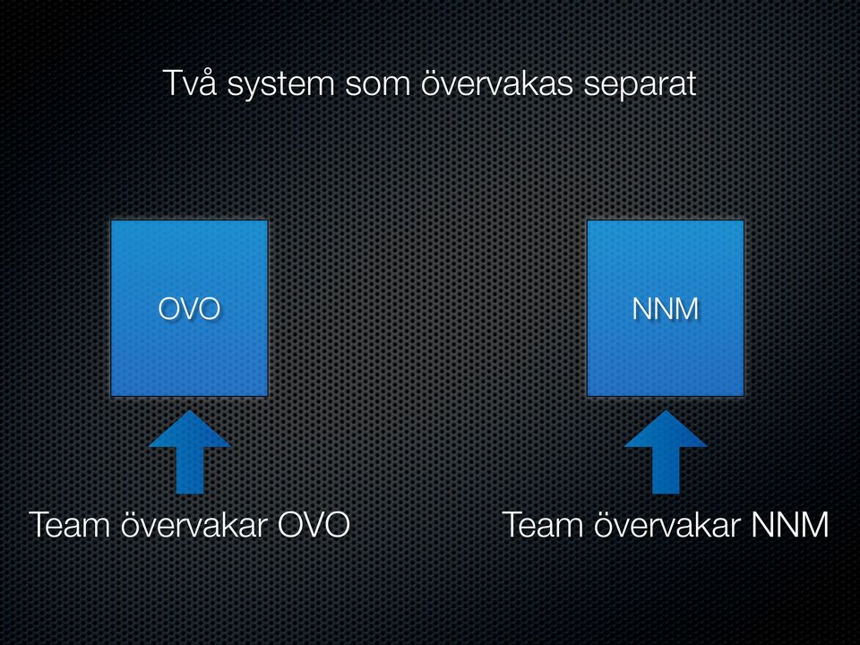 OVO Team