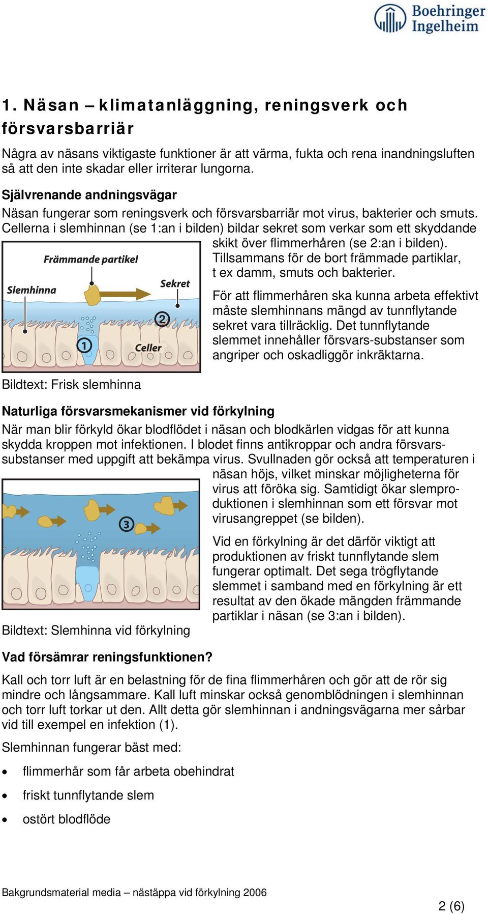 Cellerna i slemhinnan (se 1:an i bilden) bildar sekret som verkar som ett skyddande skikt över flimmerhåren (se 2:an i bilden).