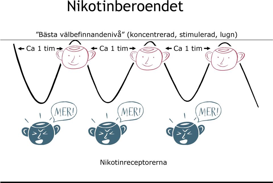 (koncentrerad, stimulerad,
