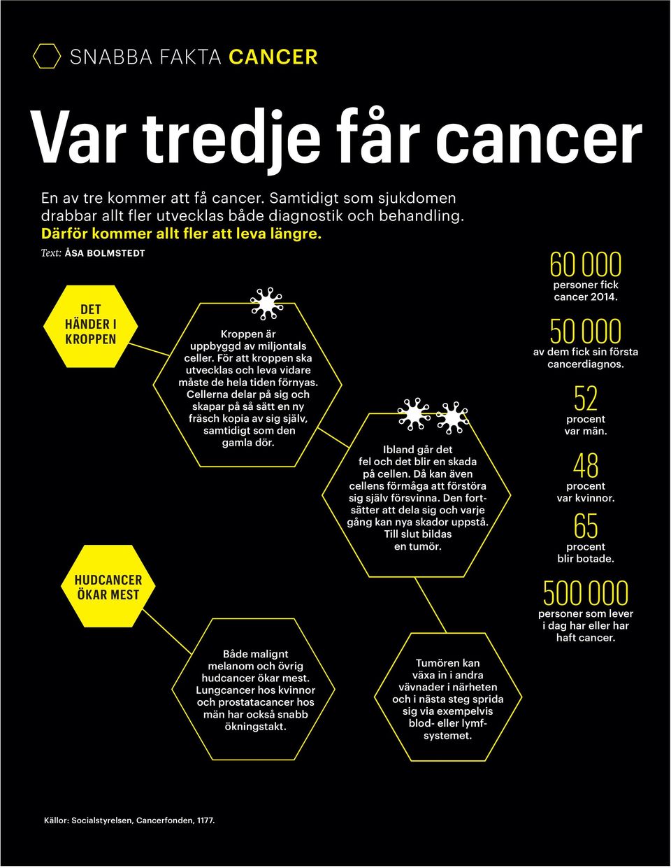 Cellerna delar på sig och skapar på så sätt en ny fräsch kopia av sig själv, samtidigt som den gamla dör. Både malignt melanom och övrig hudcancer ökar mest.