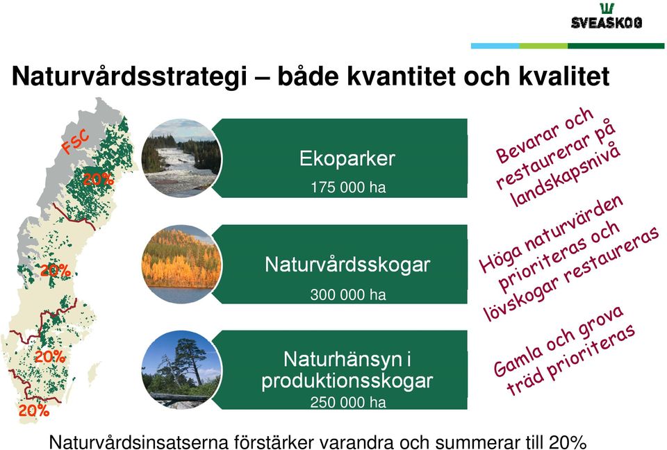 lövskogar restaureras 20% 300 000 ha Gamla och grova träd prioriteras