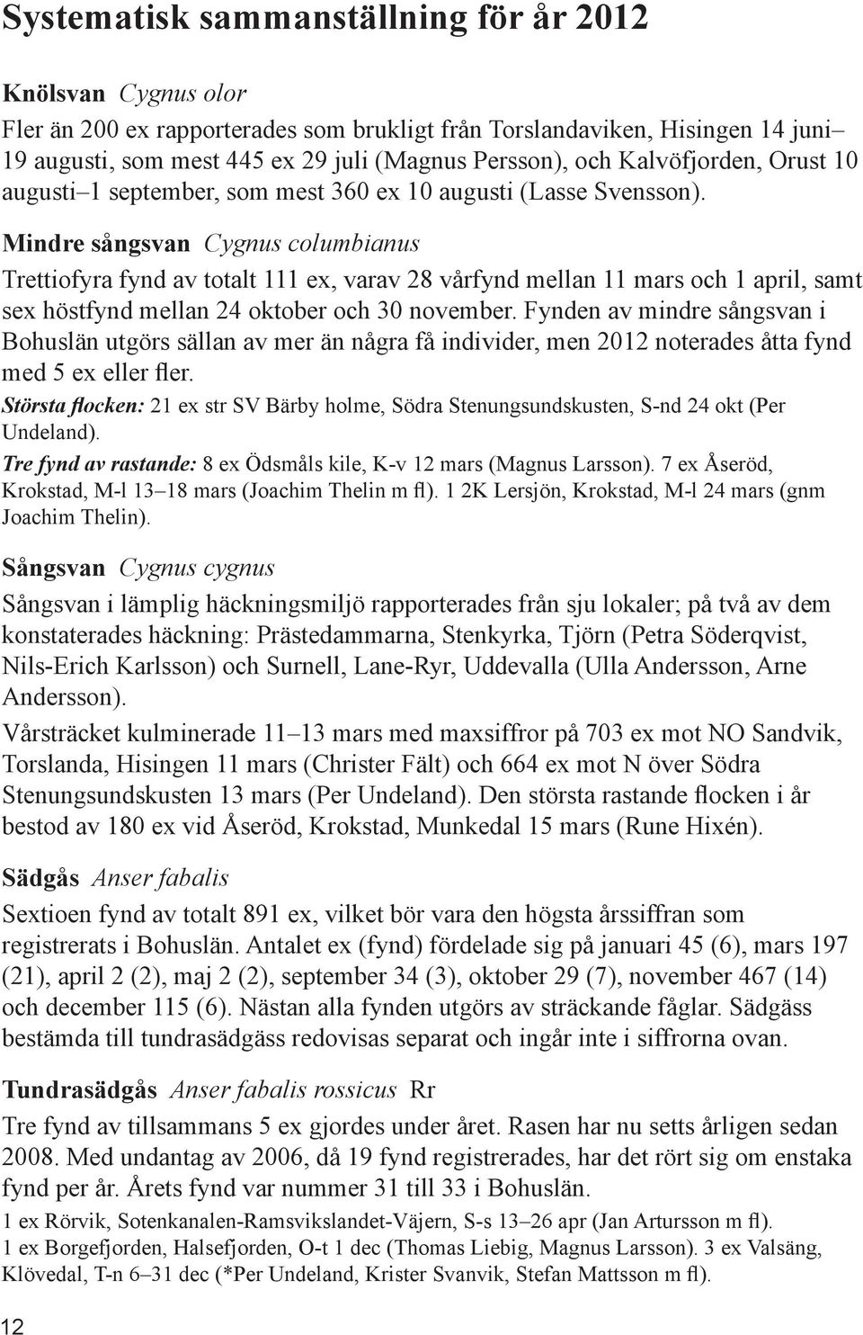 Mindre sångsvan Cygnus columbianus Trettiofyra fynd av totalt 111 ex, varav 28 vårfynd mellan 11 mars och 1 april, samt sex höstfynd mellan 24 oktober och 30 november.