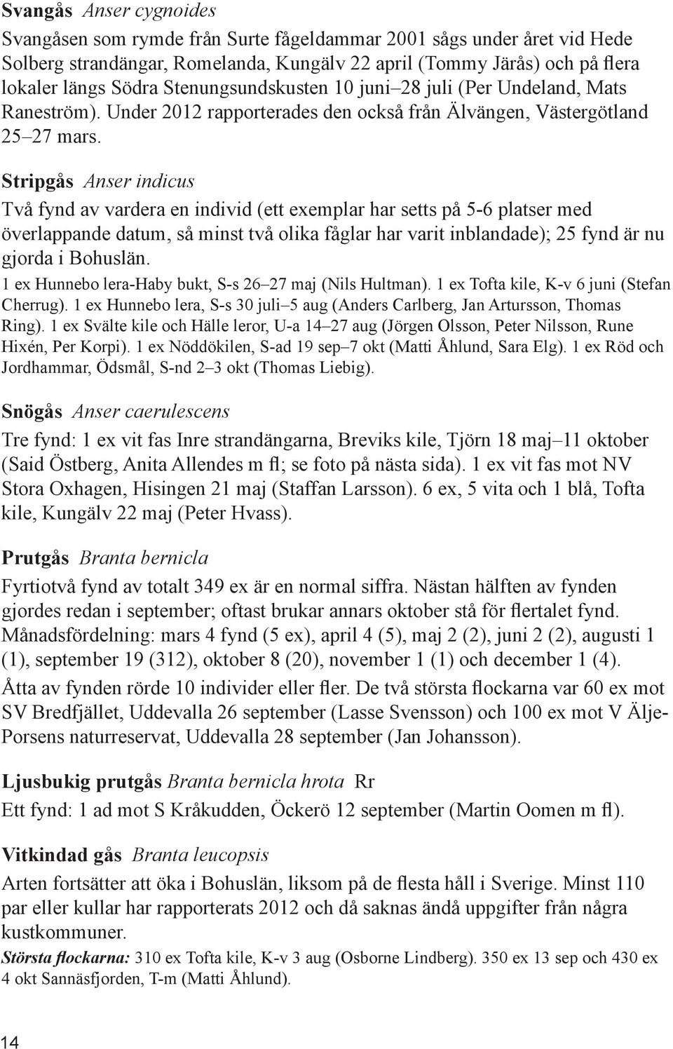 Stripgås Anser indicus Två fynd av vardera en individ (ett exemplar har setts på 5-6 platser med överlappande datum, så minst två olika fåglar har varit inblandade); 25 fynd är nu gjorda i Bohuslän.