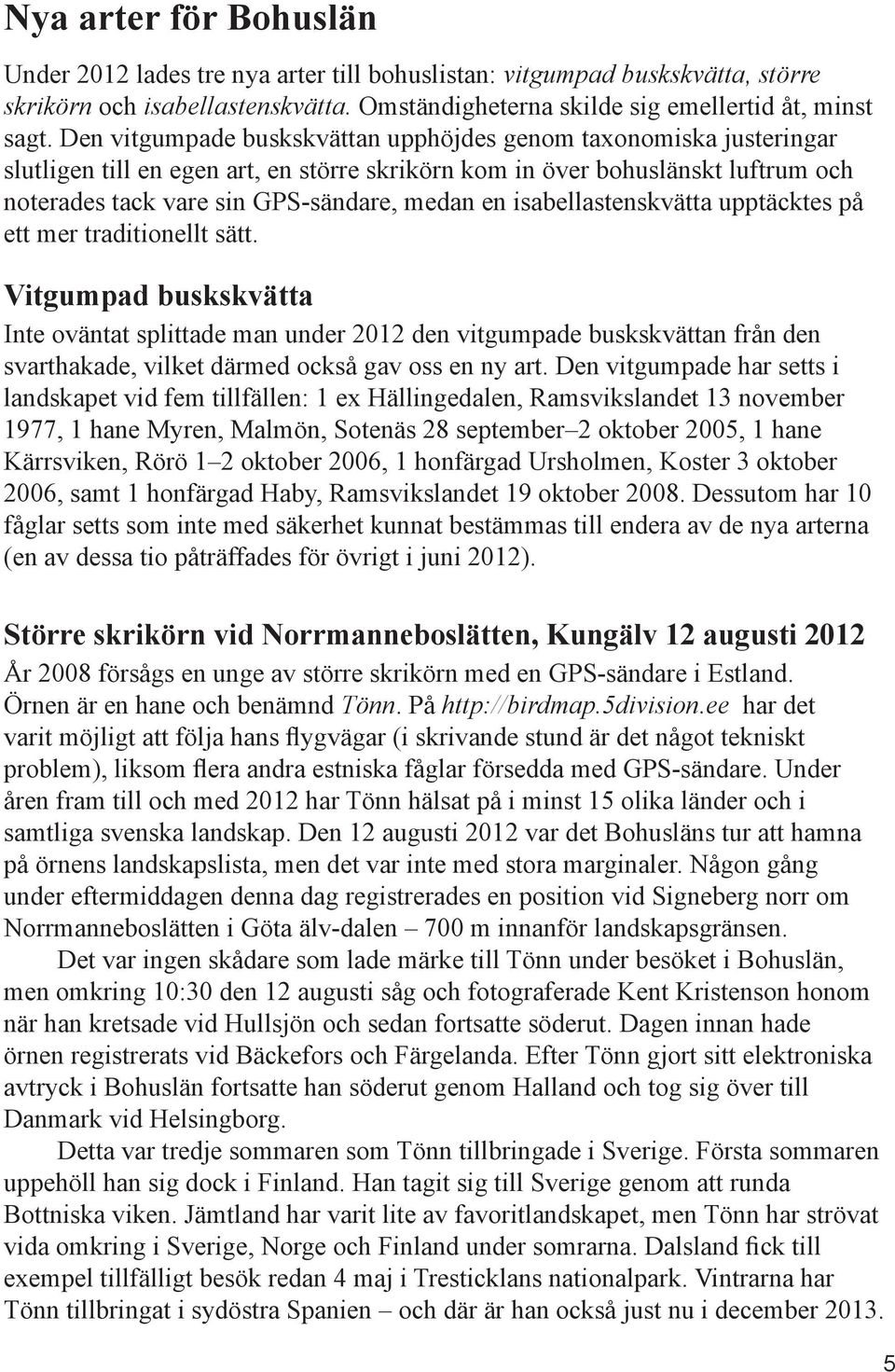 isabellastenskvätta upptäcktes på ett mer traditionellt sätt.