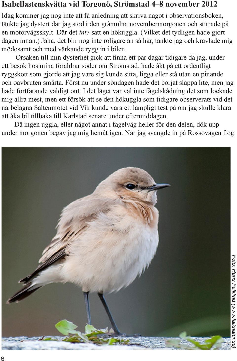 ) Jaha, det blir nog inte roligare än så här, tänkte jag och kravlade mig mödosamt och med värkande rygg in i bilen.