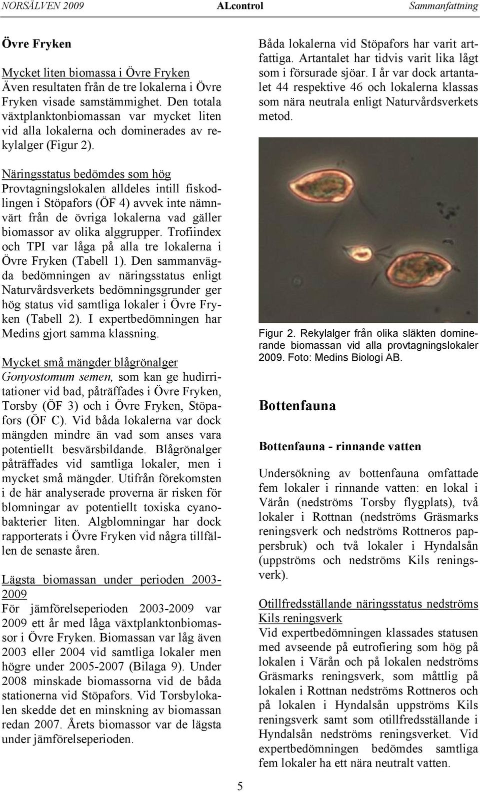 Näringsstatus bedömdes som hög Provtagningslokalen alldeles intill fiskodlingen i Stöpafors (ÖF 4) avvek inte nämnvärt från de övriga lokalerna vad gäller biomassor av olika alggrupper.
