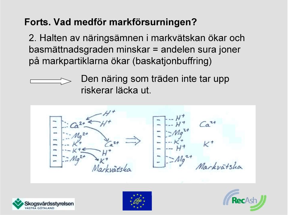 basmättnadsgraden minskar = andelen sura joner på