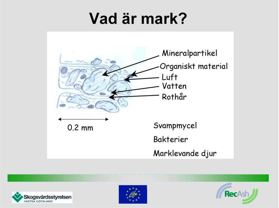 material Luft Vatten Rothår