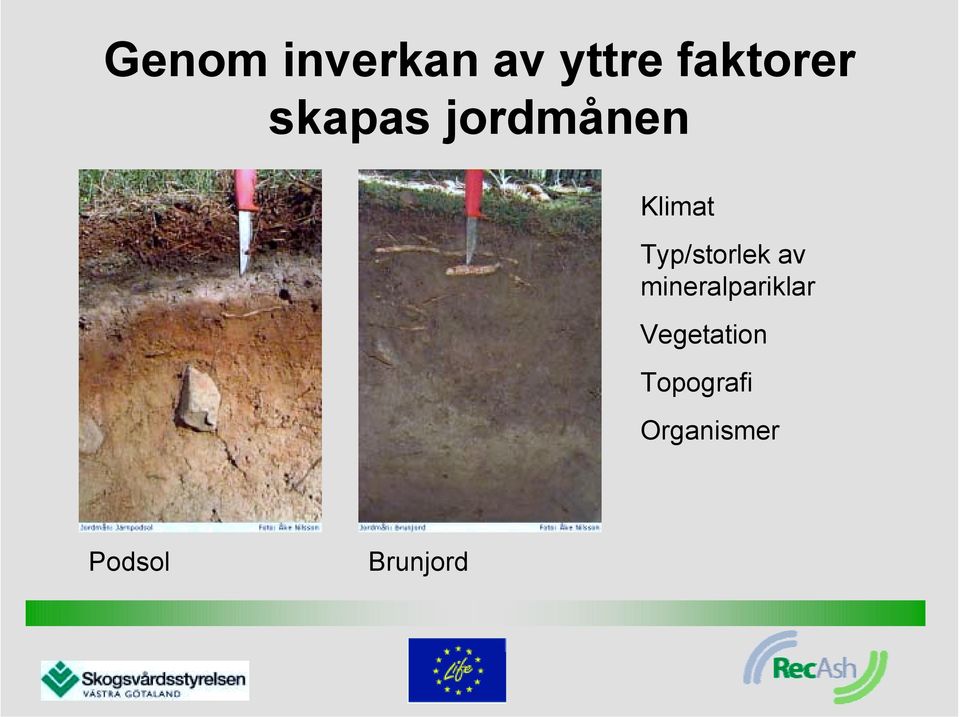 Typ/storlek av mineralpariklar