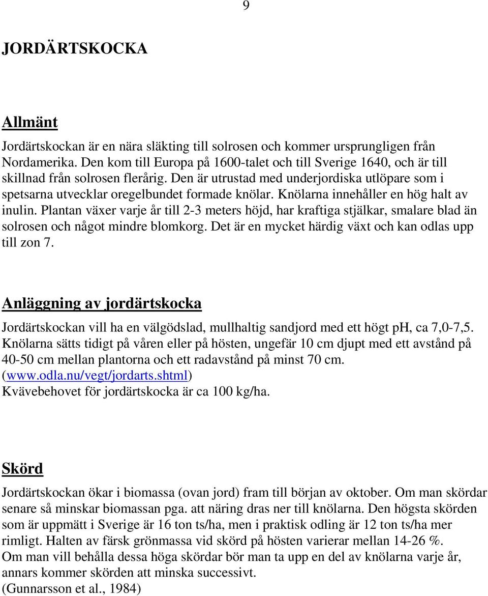 Knölarna innehåller en hög halt av inulin. Plantan växer varje år till 2-3 meters höjd, har kraftiga stjälkar, smalare blad än solrosen och något mindre blomkorg.