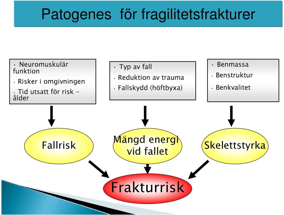 Reduktion av trauma Fallskydd (höftbyxa) Benmassa Benstruktur