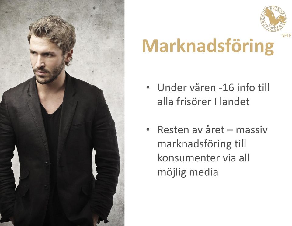 Frisörsök- Bästavägen till en riktig frisör Alla medlemmar finns med gratis Presentationssida995 kr Marknadsförs mot konsument innan sommaren 3000 